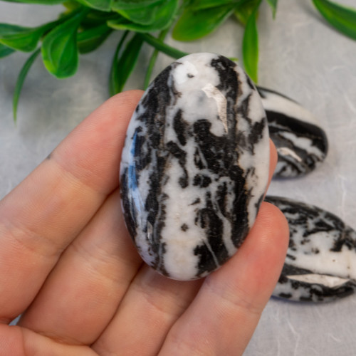 Zebra Jasper Palmstone