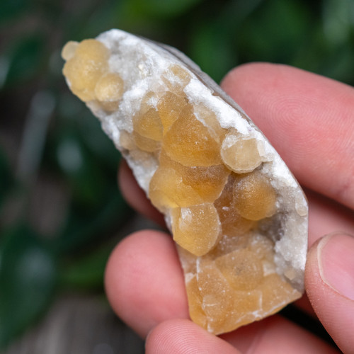 Botryoidal Yellow Fluorite #1