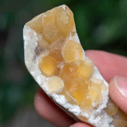 Botryoidal Yellow Fluorite #1