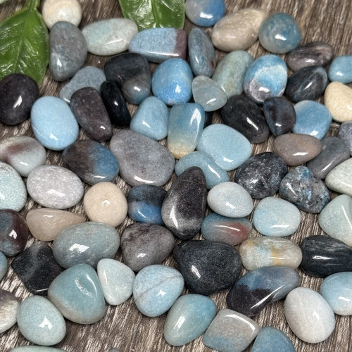 Trolleite 6 Piece Satchel