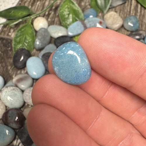 Trolleite 6 Piece Satchel