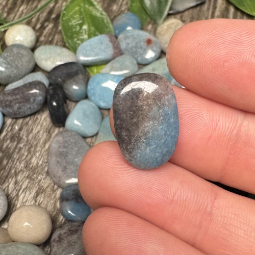 Trolleite 6 Piece Satchel