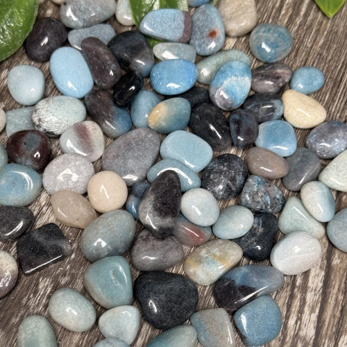 Trolleite 6 Piece Satchel