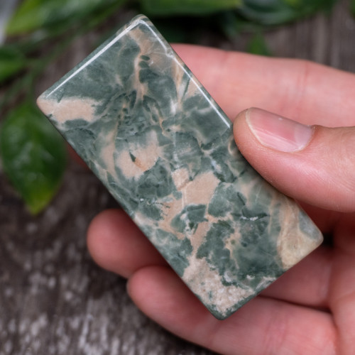 Nine Dragon Jade #21