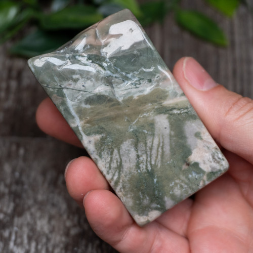 Nine Dragon Jade #24