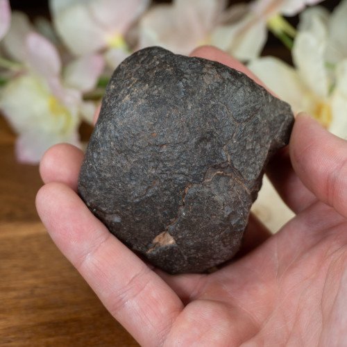 Large NWA Meteorite #1