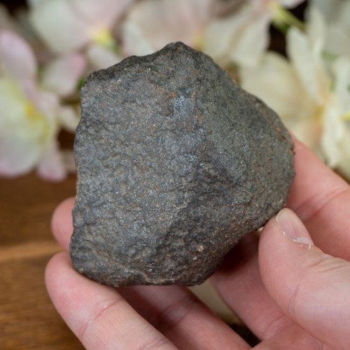 Large NWA Meteorite #2