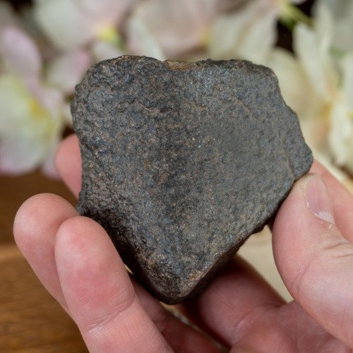 Large NWA Meteorite #2