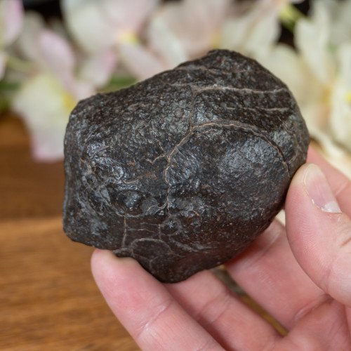 Large NWA Meteorite #3