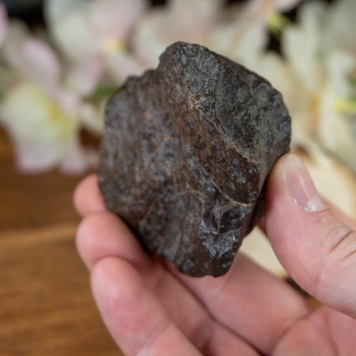 Large NWA Meteorite #3
