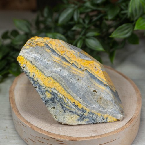 Small Raw Bumblebee Jasper