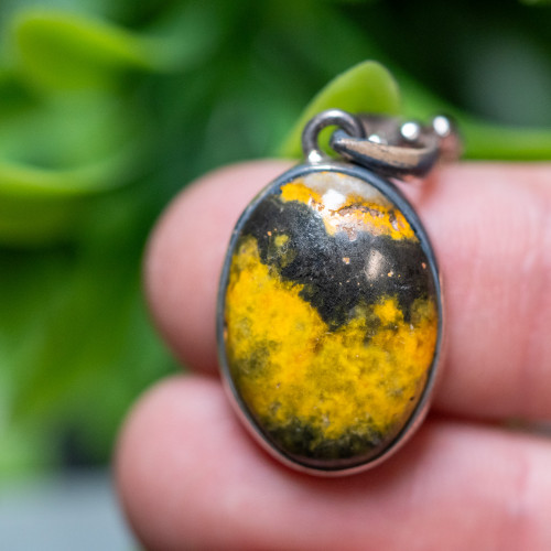 Bumble Bee Jasper Pendant #2