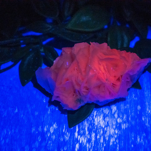 Chinese Bladed Calcite (UV Reactive) #1