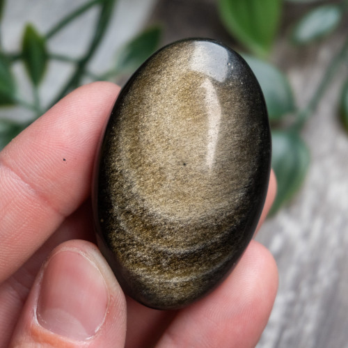 Golden Sheen Obsidian Palmstone