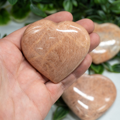 Peach Moonstone Medium Heart