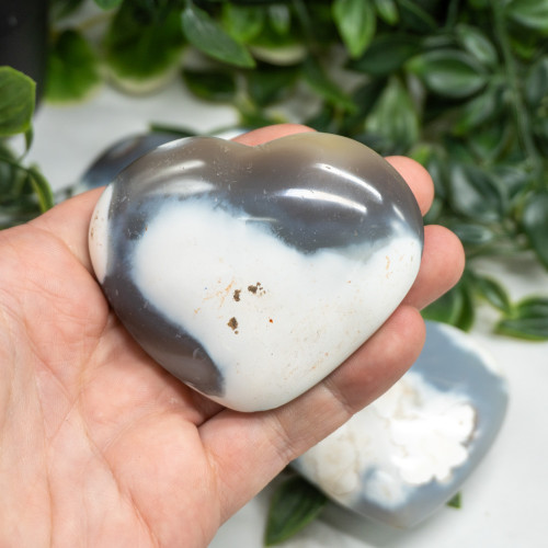 Orca Agate Medium Heart