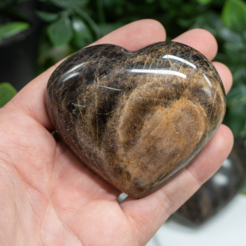 Black Moonstone Medium Heart Random