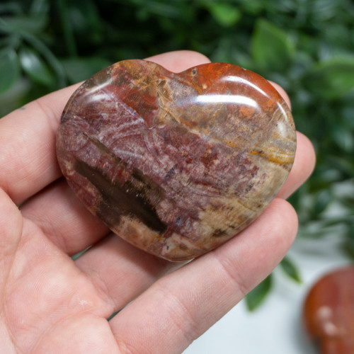 Petrified Wood Medium Heart Random