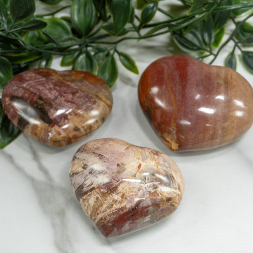 Petrified Wood Medium Heart Random