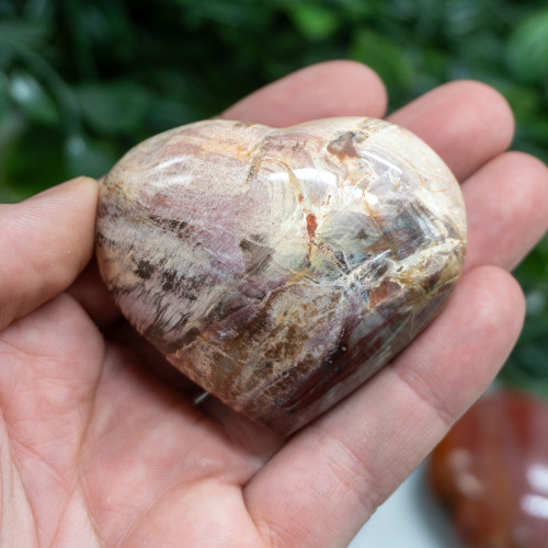 Petrified Wood Medium Heart Random