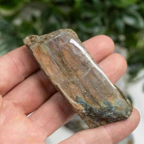 Half Polished Labradorite Random