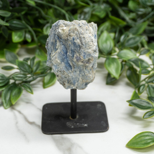 Medium Mounted Blue Kyanite Random