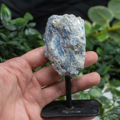 Medium Mounted Blue Kyanite Random