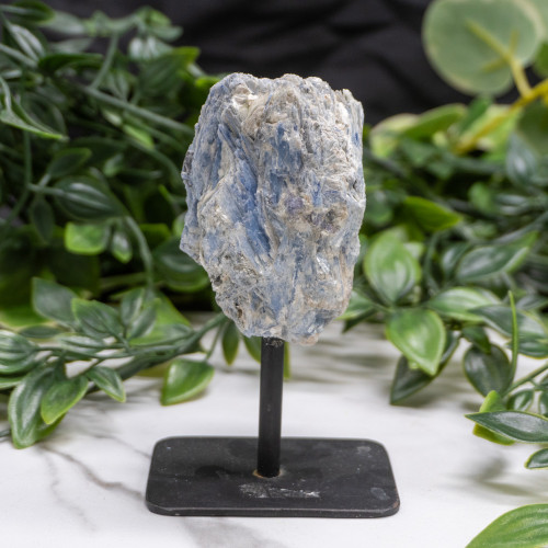 Medium Mounted Blue Kyanite Random