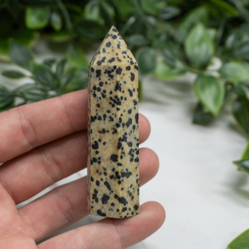 Medium Dalmatian Stone Tower Random