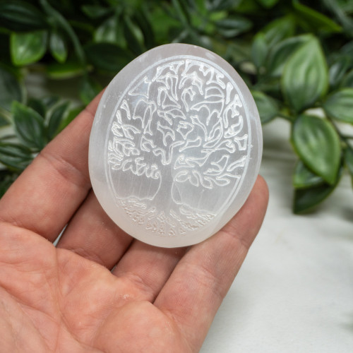 Medium Tree of Life Selenite Palmstone Random