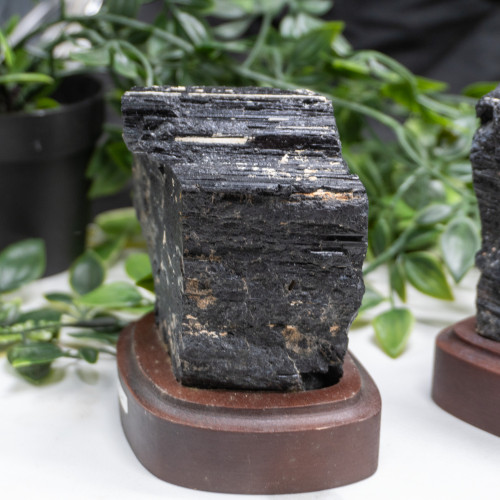 Large Raw Black Tourmaline on Wooden Base Random