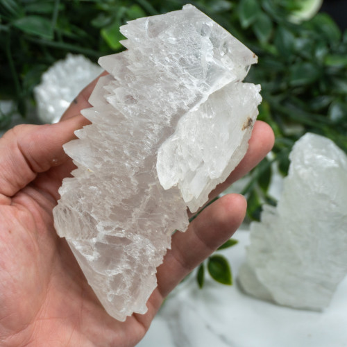 Large Fishtail Selenite Random