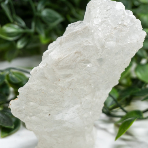 Large Fishtail Selenite Random