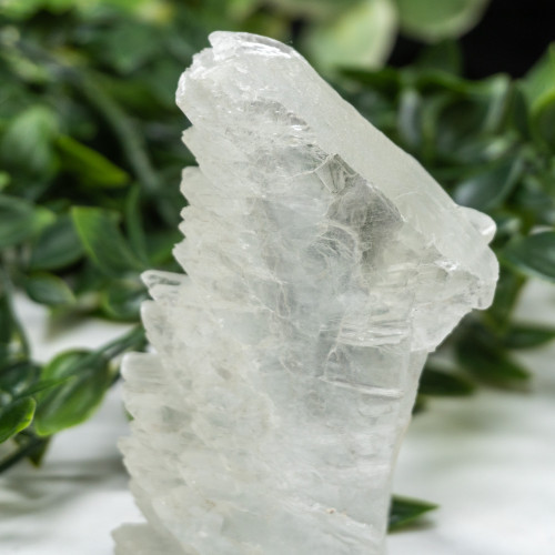 Large Fishtail Selenite Random