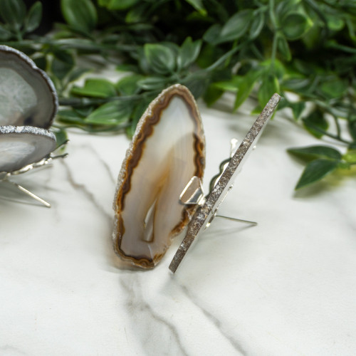 Banded Agate Butterfly Random