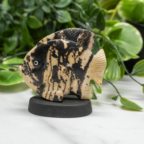 Picture Jasper Fish on Swivel Base Random