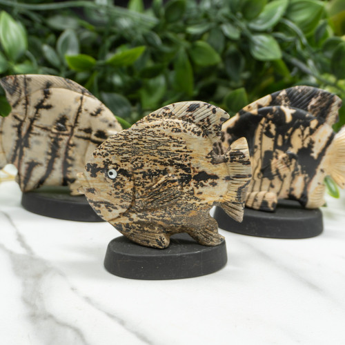 Picture Jasper Fish on Swivel Base Random