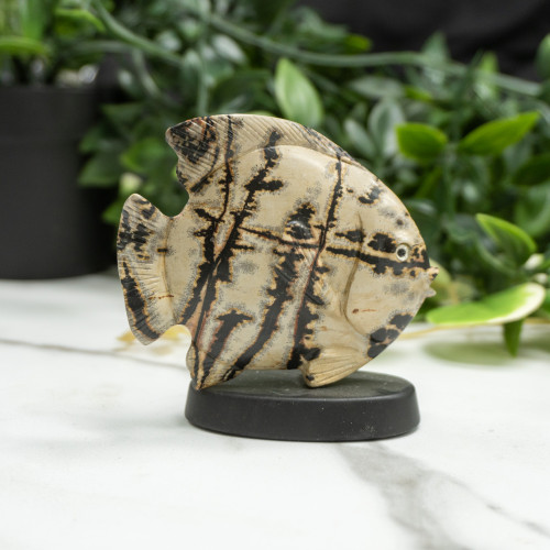 Picture Jasper Fish on Swivel Base Random