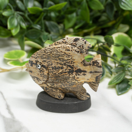 Picture Jasper Fish on Swivel Base Random