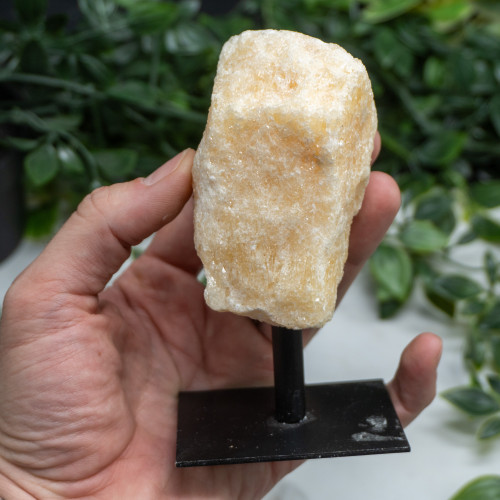 Medium Mounted Orange Calcite Random