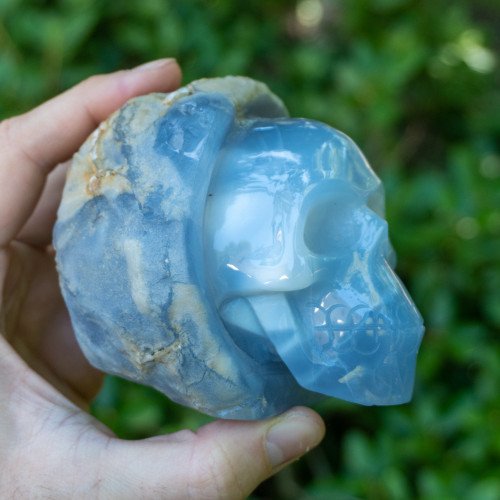 Blue Chalcedony Skull in Geode