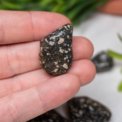 Guinea Fowl Jasper Tumbled