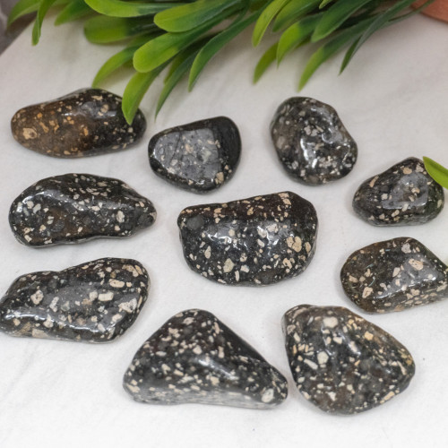 Guinea Fowl Jasper Tumbled