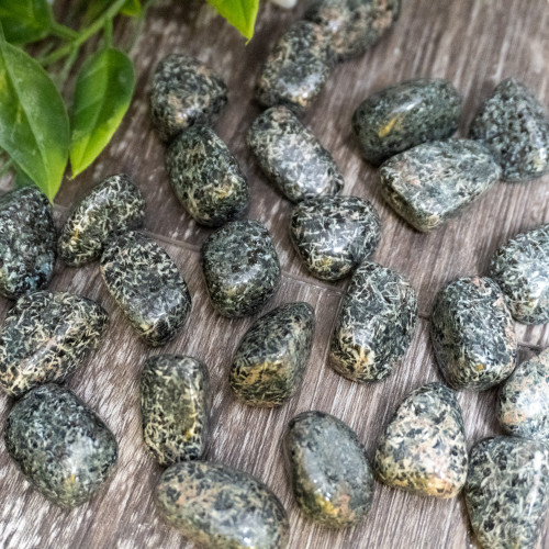 Flower Rhyolite Tumbled