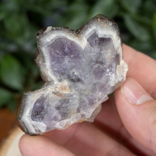 Smoky Quartz over Amethyst Triple Point