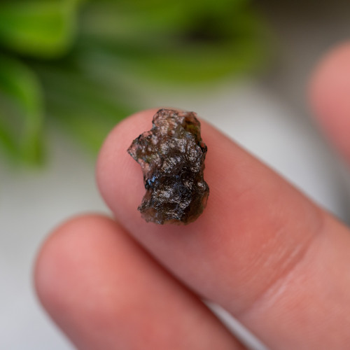 Moldavite #5