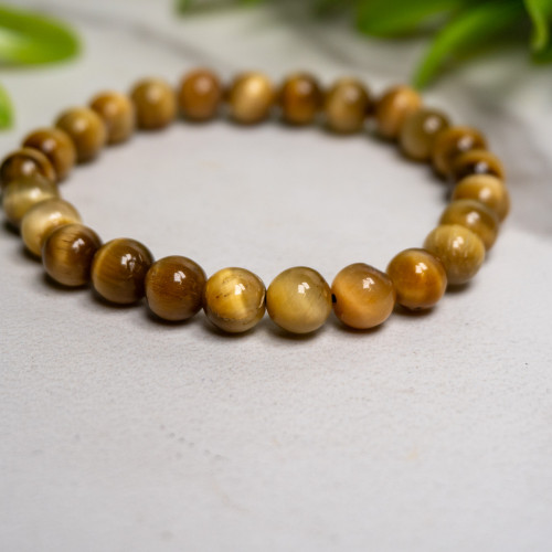 Golden Tiger Eye 8mm Bracelet