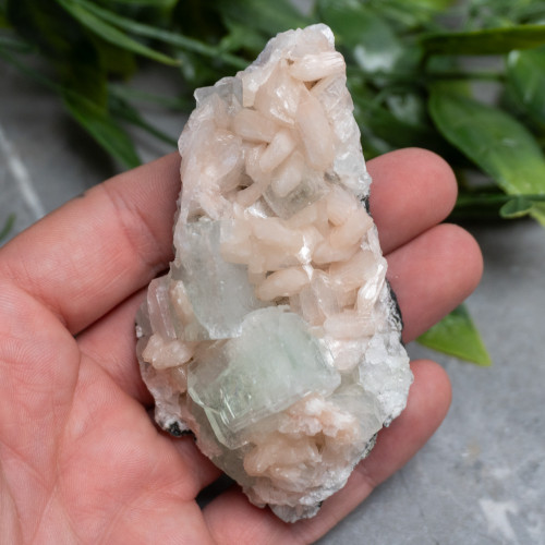 Green Apophyllite #8