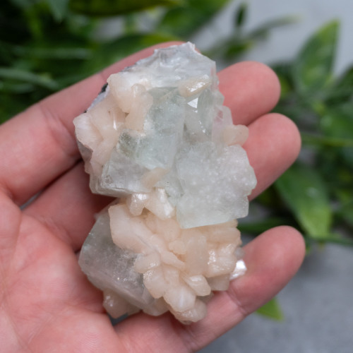 Green Apophyllite #5