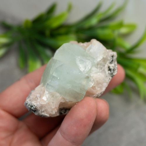 Green Apophyllite #1